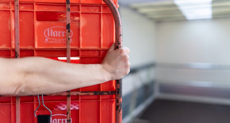 Mitarbeiterin der Logistik vor großem Regal mit Lagerbeständen